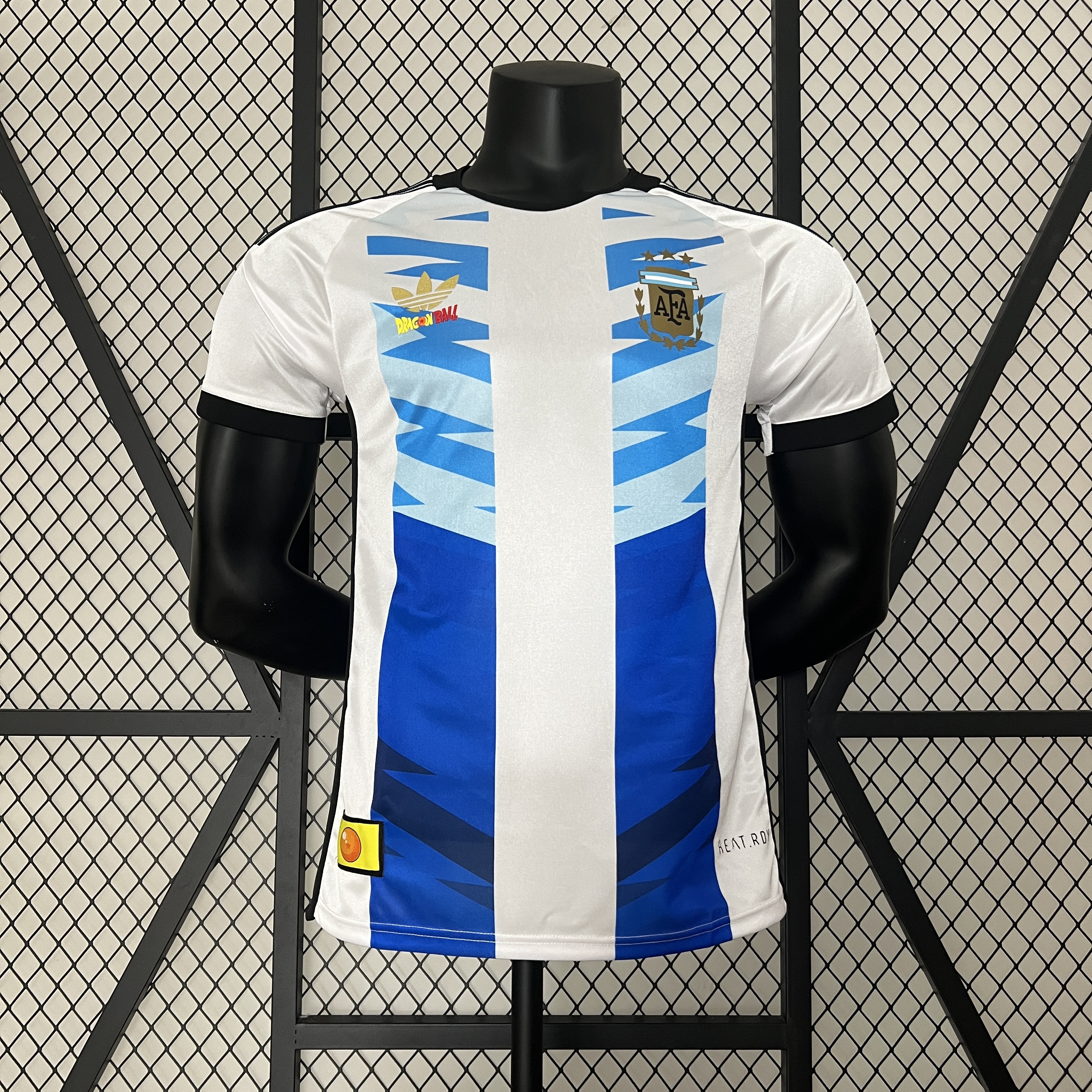 Maillot Argentine Edition Speciale Version du Joueur 2024-2025