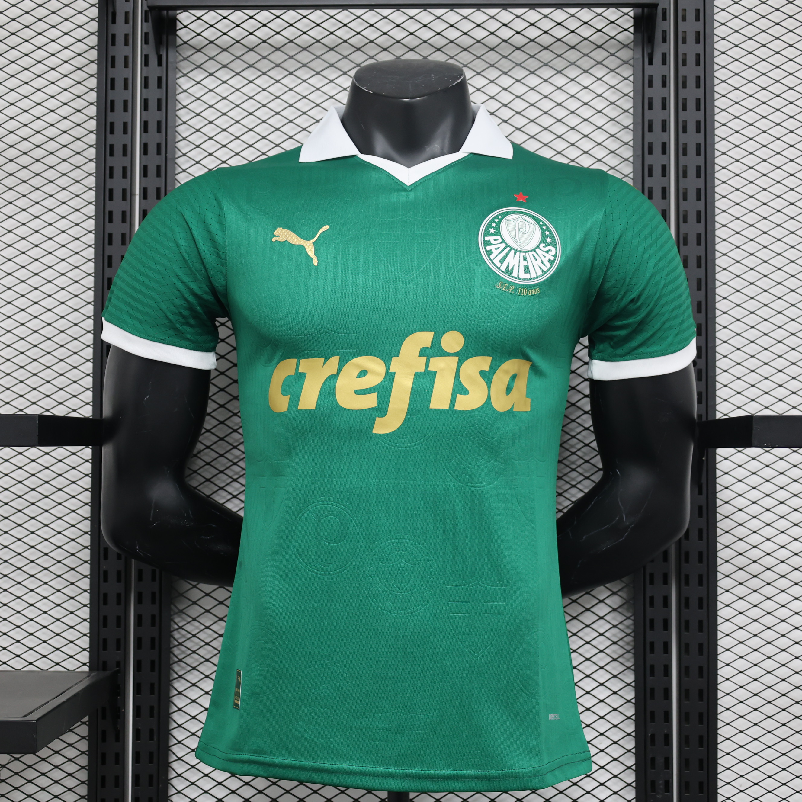 Maillot Palmeiras Domicile Version du Joueur 2024-2025