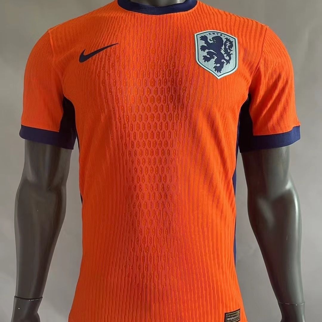 Maillot Pays-Bas Domicile Version du Joueur 2024-2025