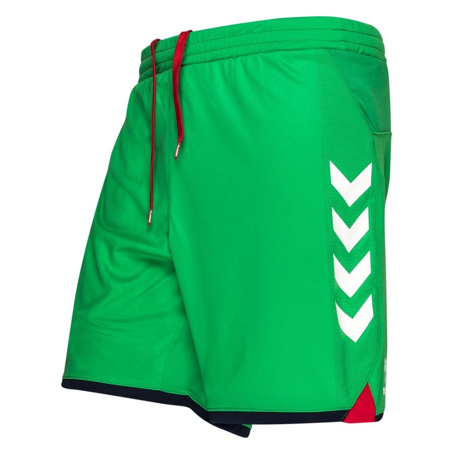 Denmark Goalkeeper Shorts EURO 2020