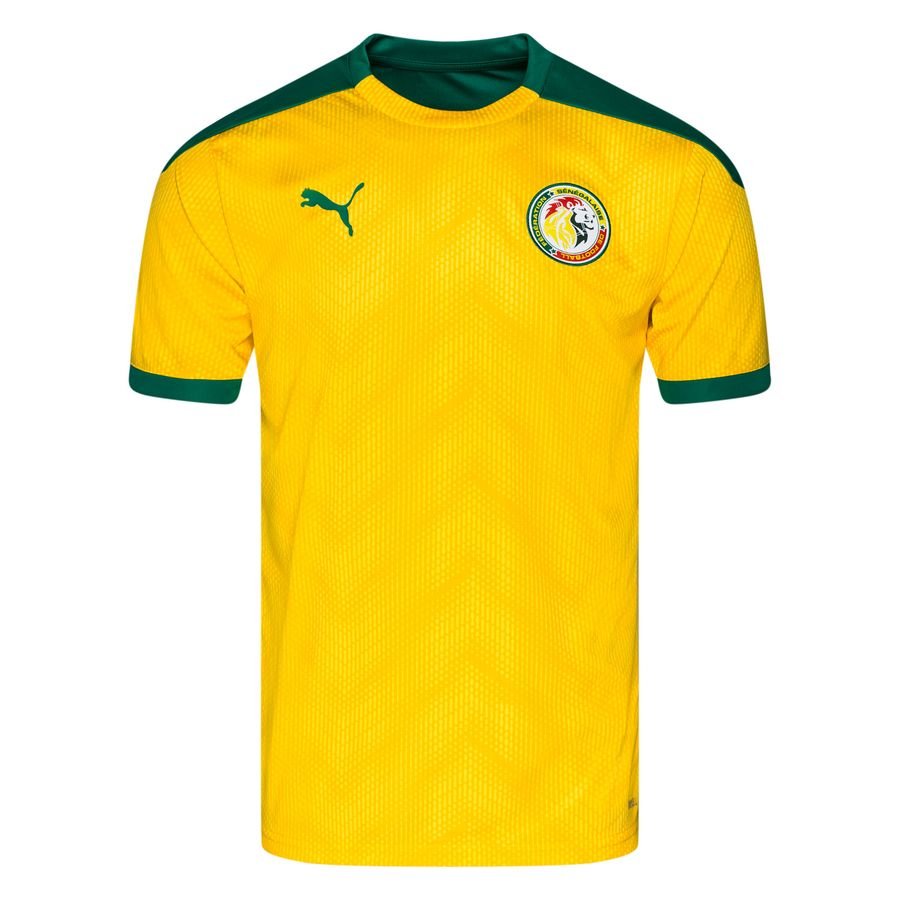 Senegal Training T-Shirt Tracksuit Stadium - Dandelion/Pepper Green