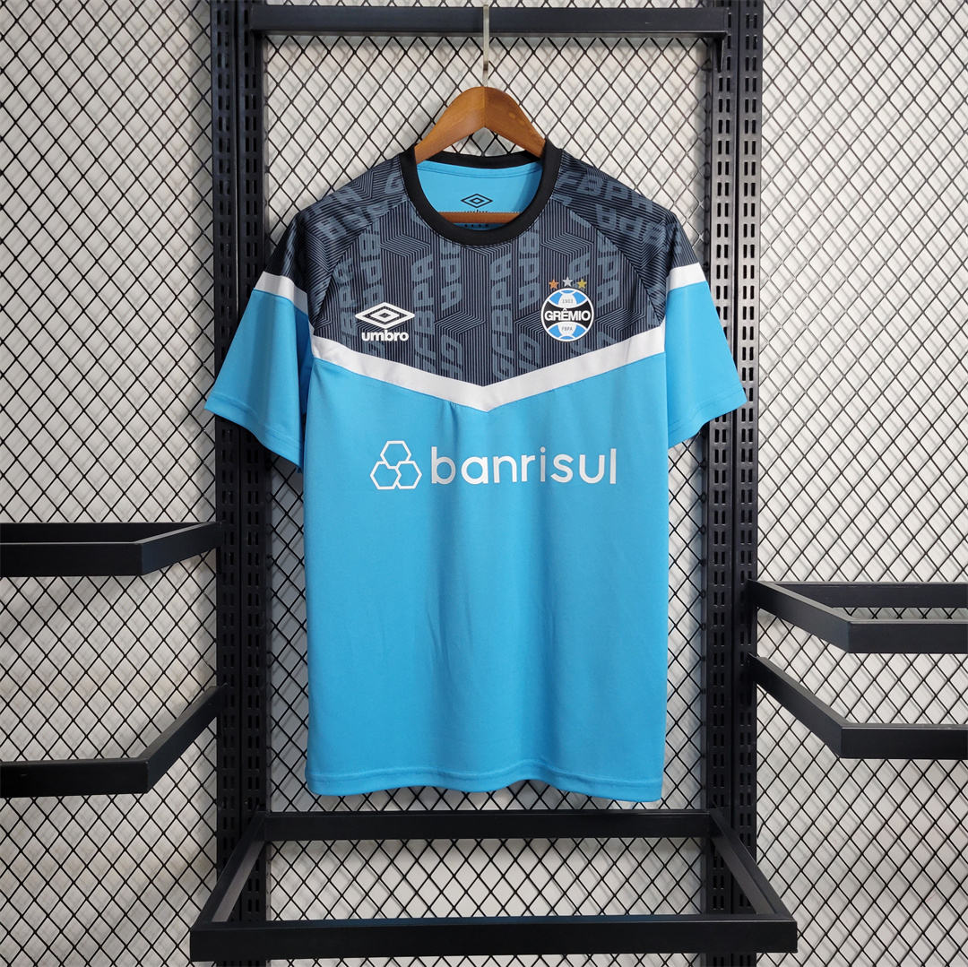 Gremio Maillot Vetements de Entrainement Grise Blue 2023-2024