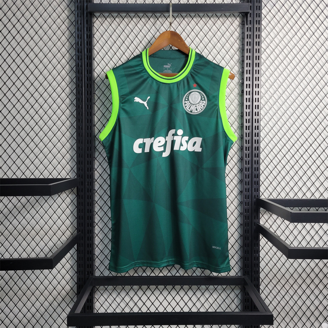 Palmeiras Domicile Gilet 2023-2024