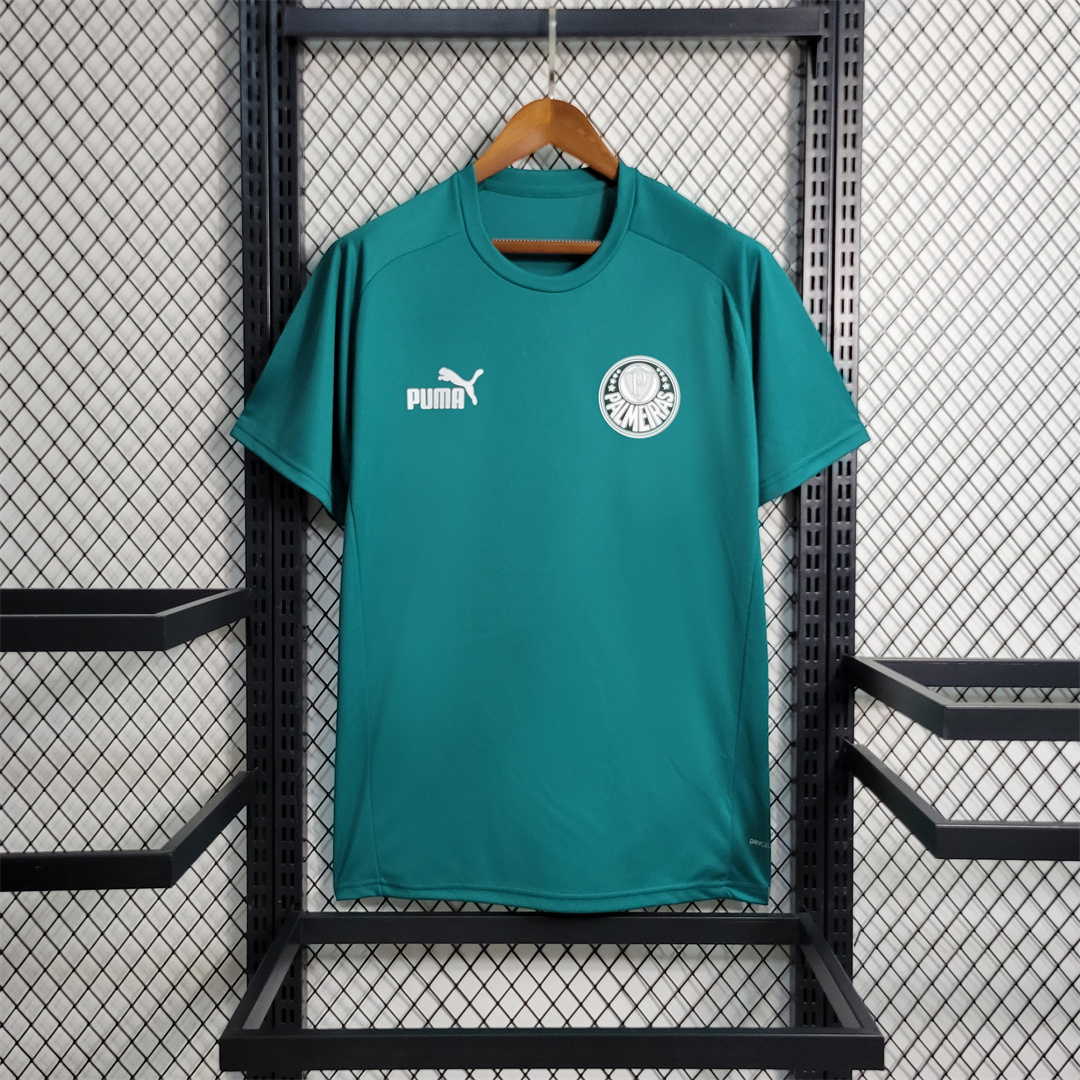 Palmeiras Verte Maillot Vetements de Entrainement 2023-2024